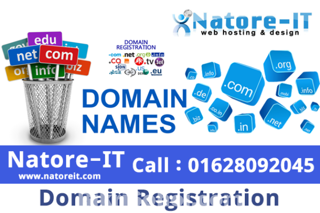 Domain Registration